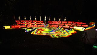 Night Forms: Frog Head Rainbow | Klip